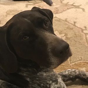 Meet your Posher, Christine